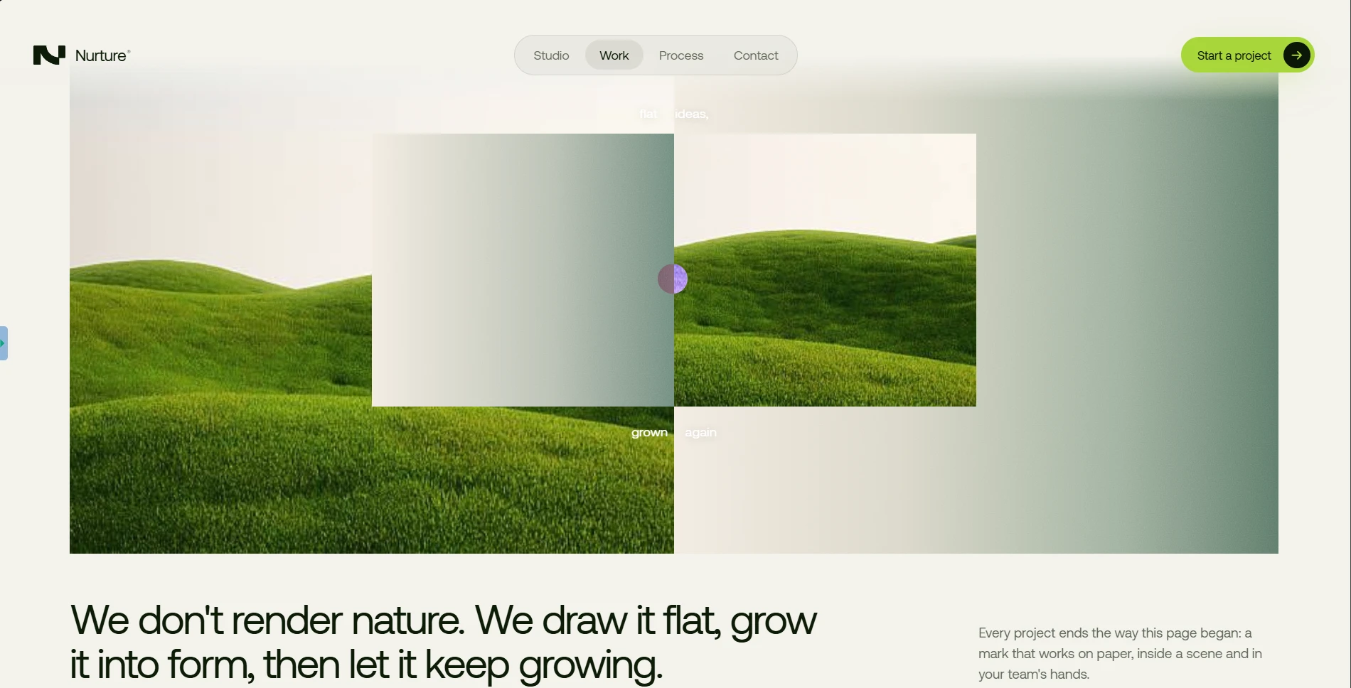 Work: drawn flat, grown into form